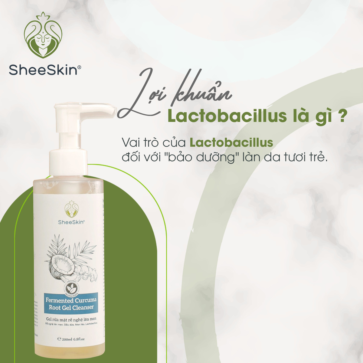 lợi khuẩn Lactobacillus, sữa rửa mặt, sheeskin